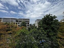 Miltonia Close (D27), Terrace #611080231